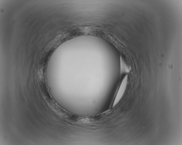 X0000082750611200702240040