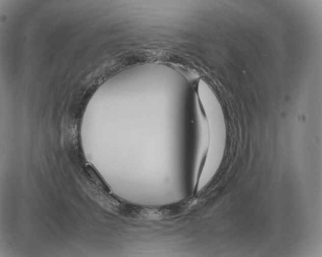 X0000082750613200702240040