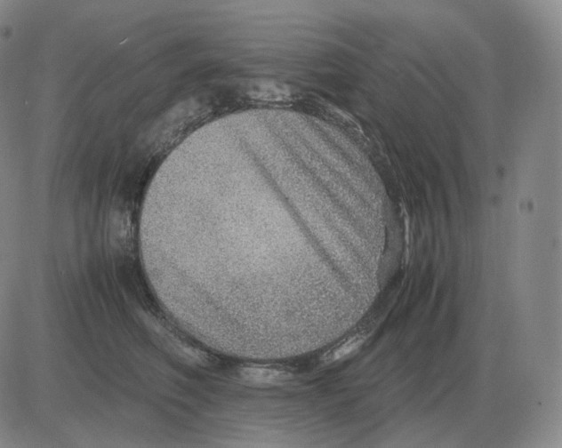 X0000082750614200702240040