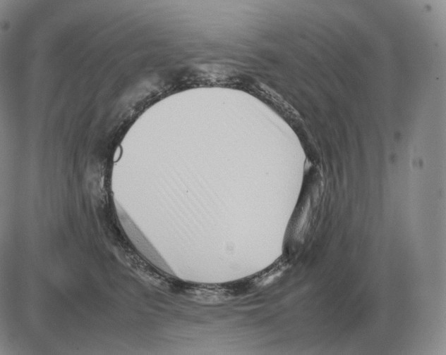 X0000082750615200702240040