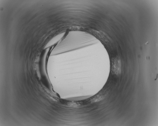 X0000082750616200702240040