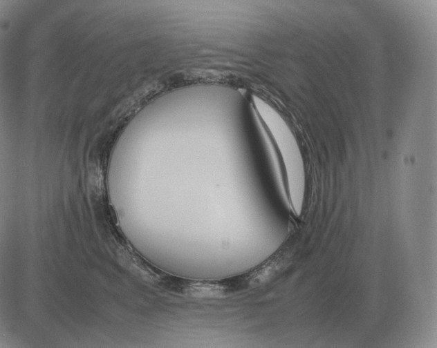 X0000082750617200702240040