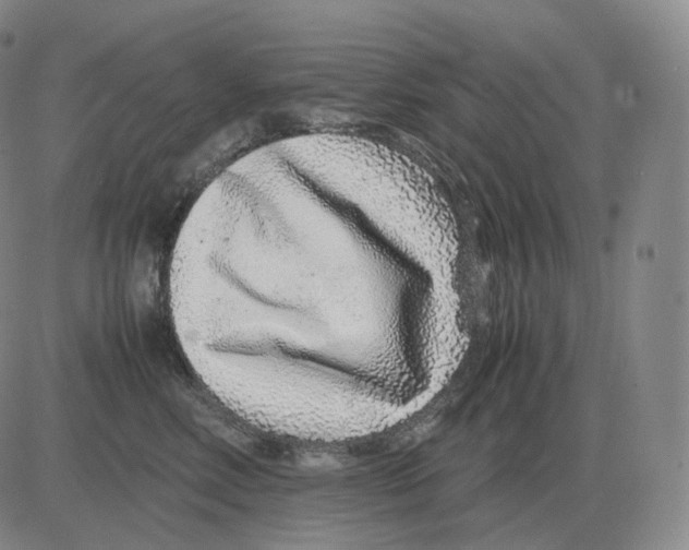 X0000082750618200702240040