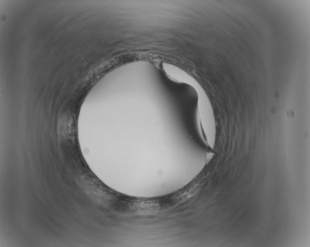 X0000082750619200702240040