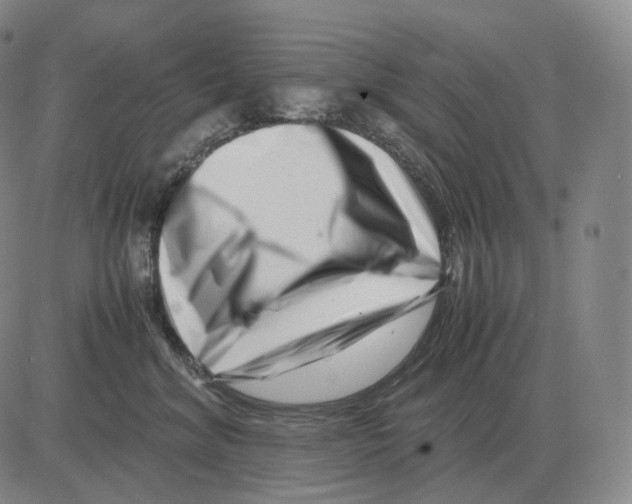 X0000082750620200702240040