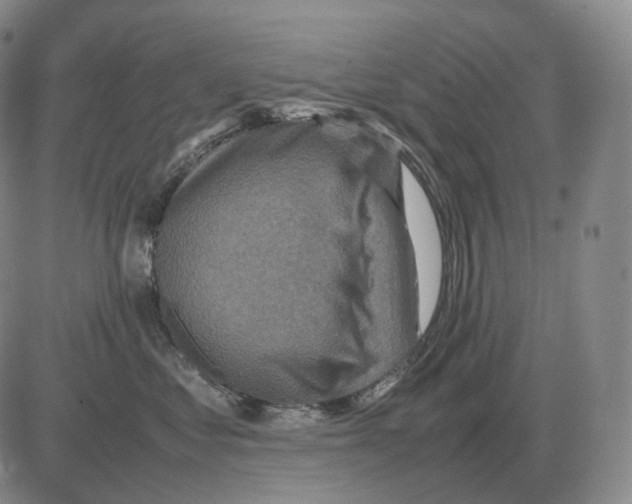 X0000082750621200702240040