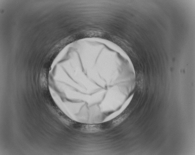 X0000082750622200702240040