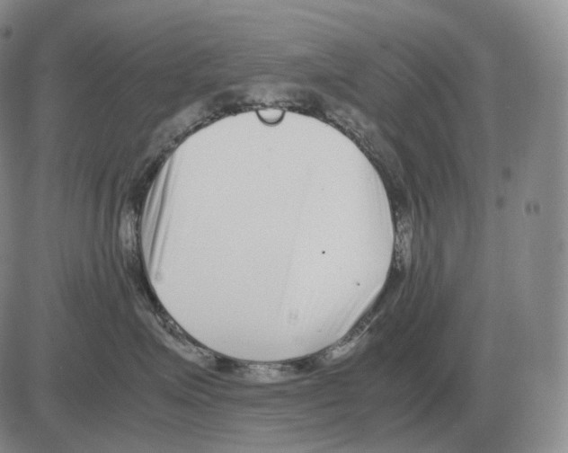 X0000082750623200702240040