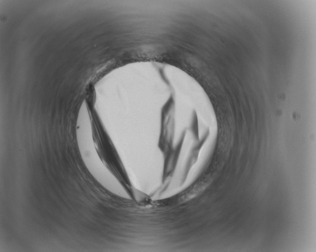 X0000082750624200702240040