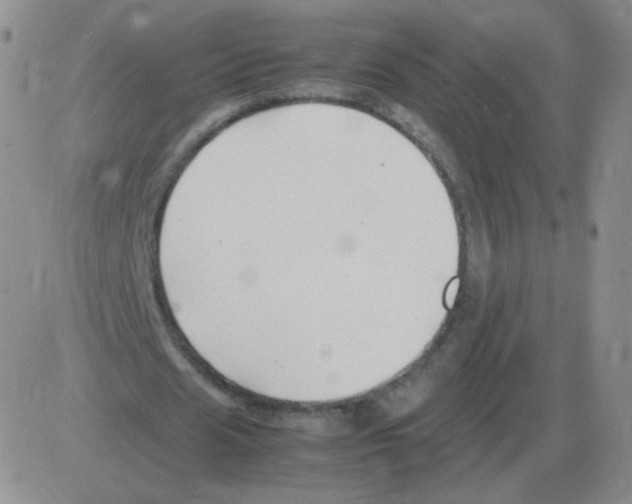 X0000082750625200702240039