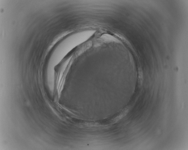 X0000082750626200702240039