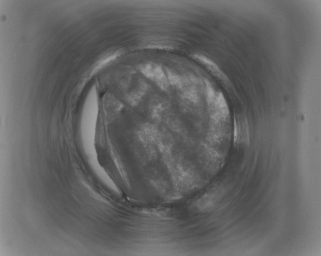 X0000082750627200702240039