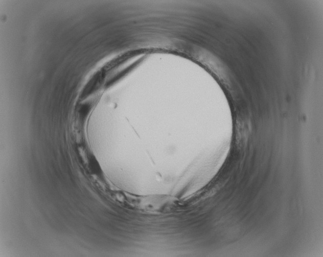 X0000082750628200702240039