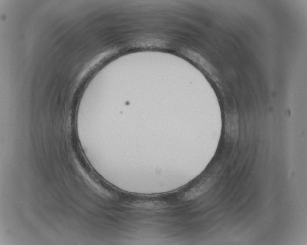 X0000082750629200702240039