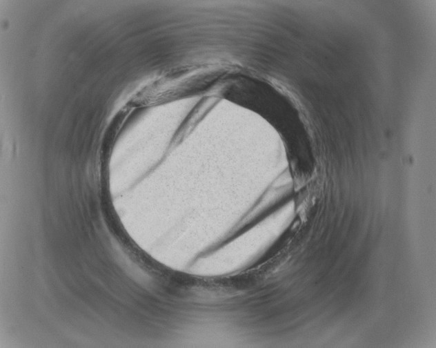 X0000082750630200702240039