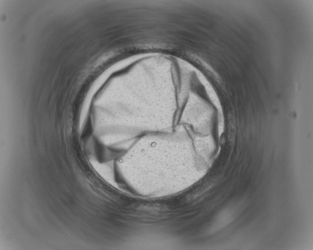 X0000082750631200702240039