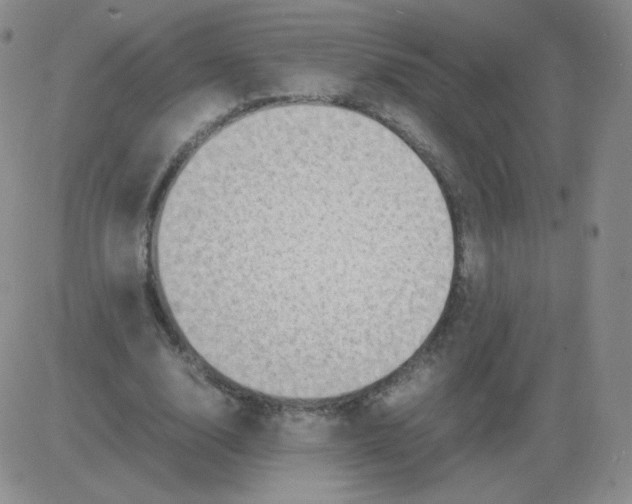 X0000082750632200702240039