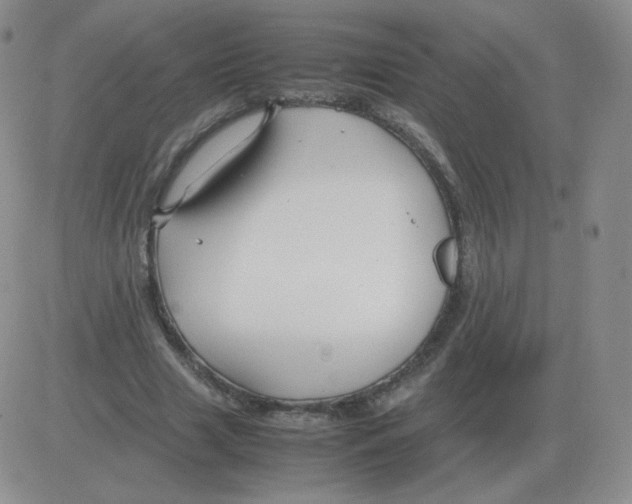 X0000082750633200702240039