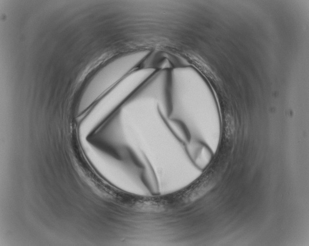 X0000082750634200702240039