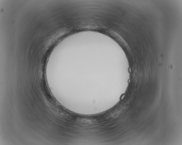 X0000082750635200702240039