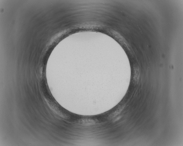 X0000082750636200702240039