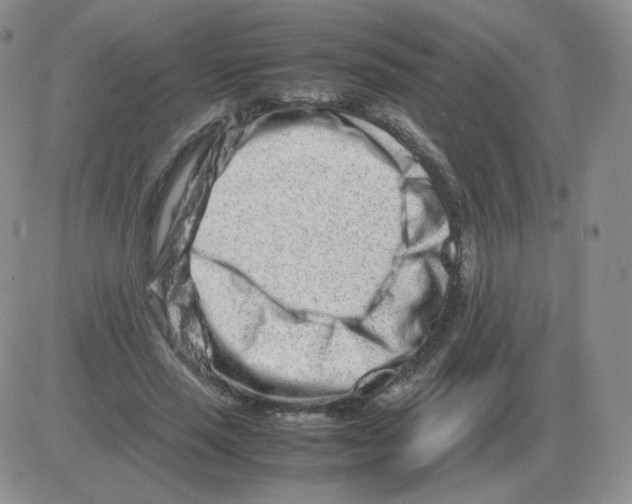 X0000082750637200702240039