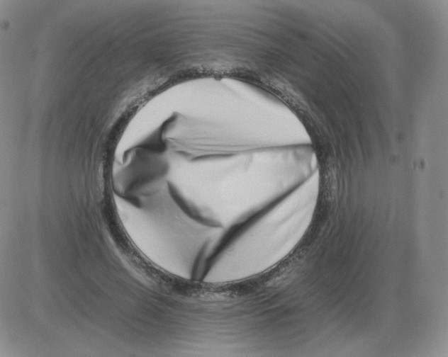 X0000082750638200702240039