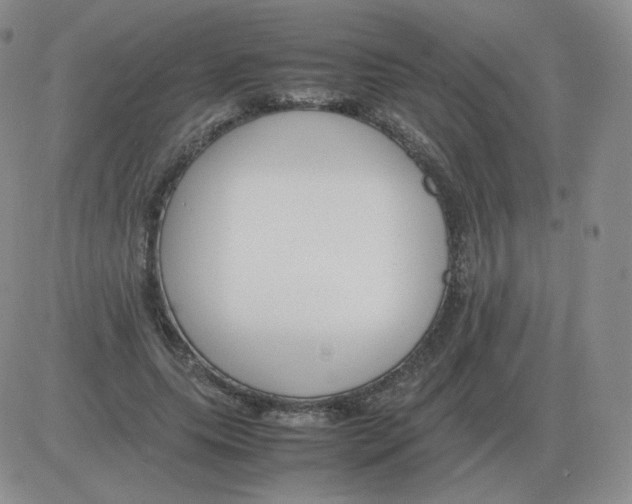 X0000082750639200702240039