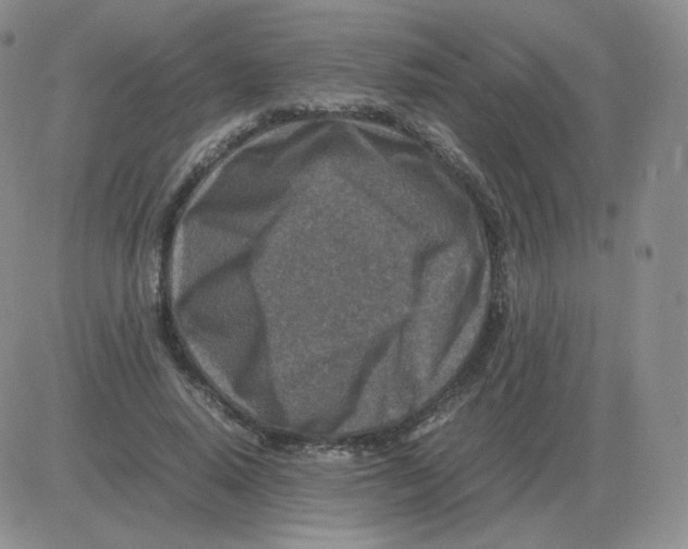 X0000082750640200702240039