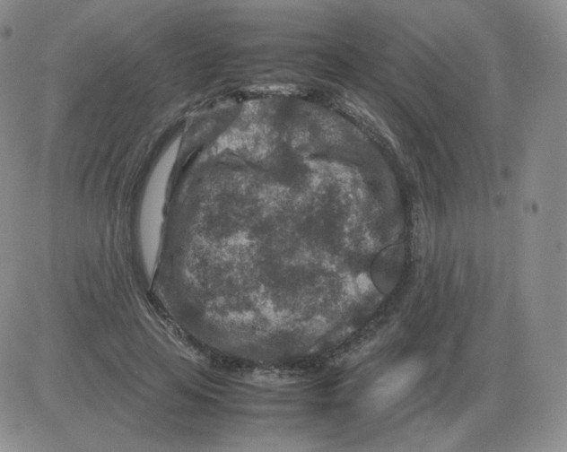 X0000082750641200702240039