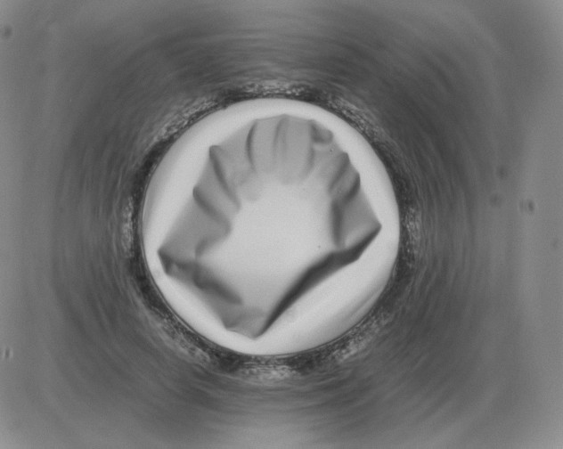 X0000082750642200702240039