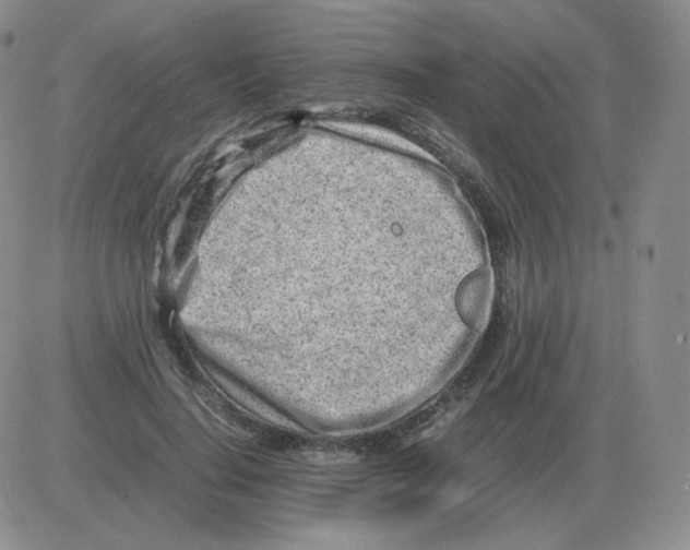 X0000082750644200702240039