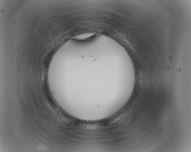 X0000082750645200702240039