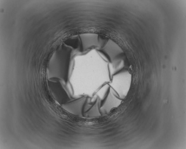 X0000082750647200702240040