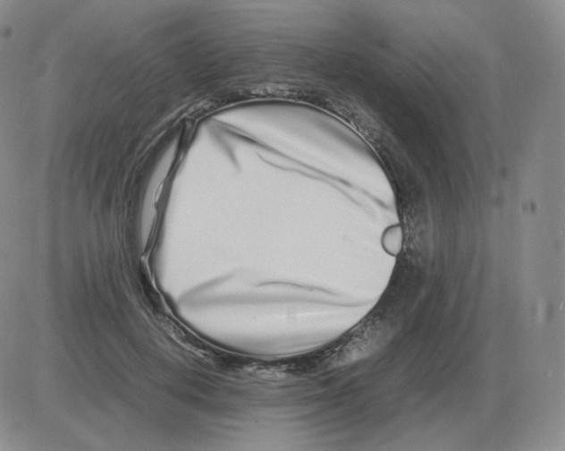 X0000082750648200702240040