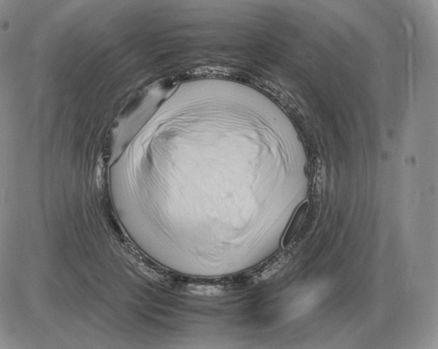 X0000082750649200702240040