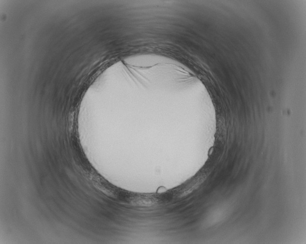 X0000082750652200702240040