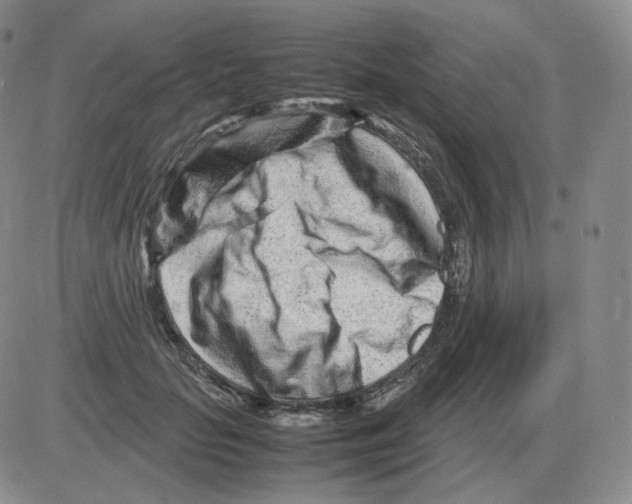 X0000082750653200702240040