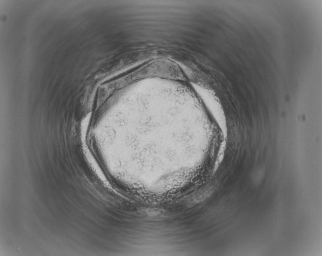 X0000082750654200702240040