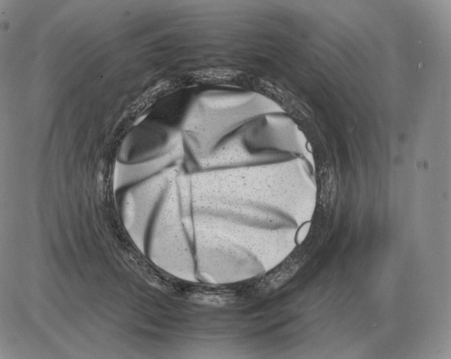 X0000082750655200702240040