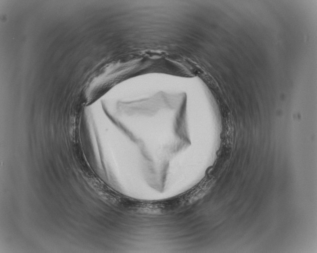 X0000082750656200702240040