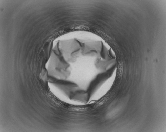 X0000082750657200702240040