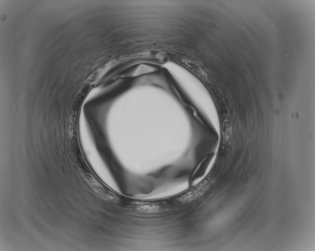 X0000082750658200702240040