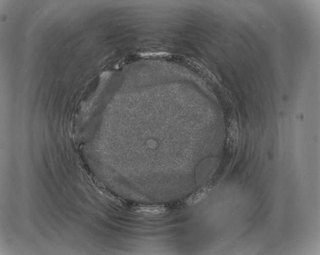 X0000082750659200702240040