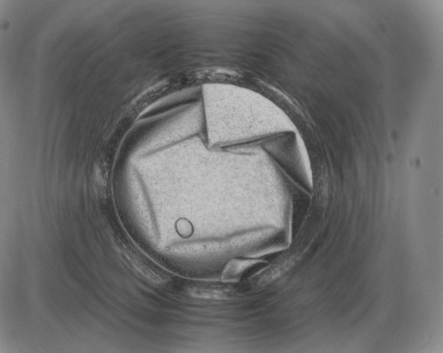 X0000082750661200702240040