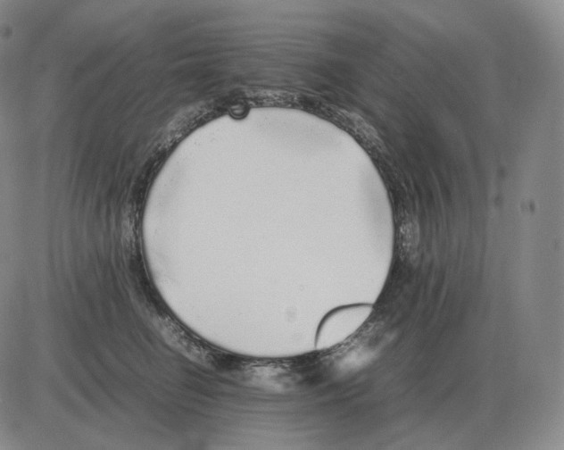 X0000082750662200702240040