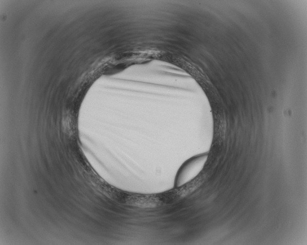 X0000082750663200702240040