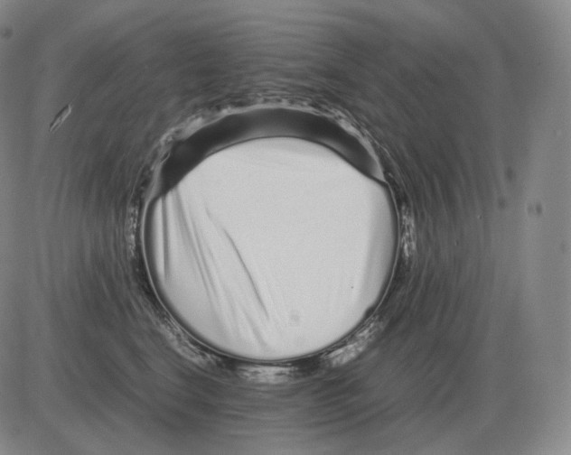 X0000082750664200702240040