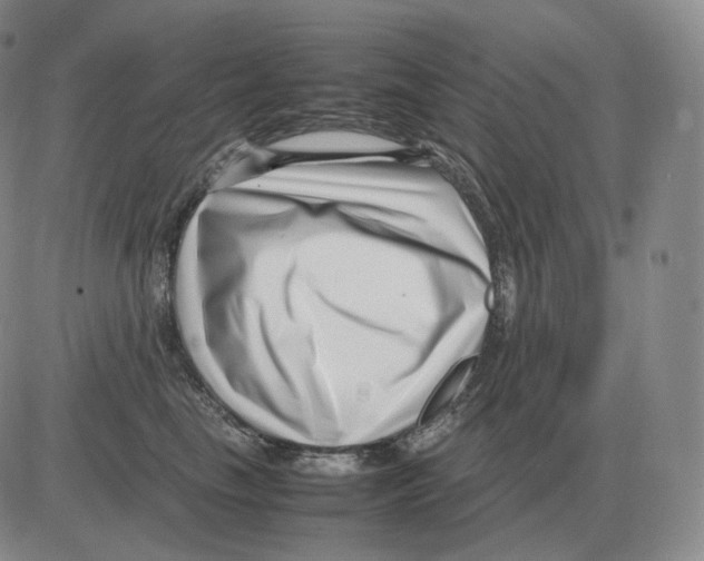 X0000082750665200702240040