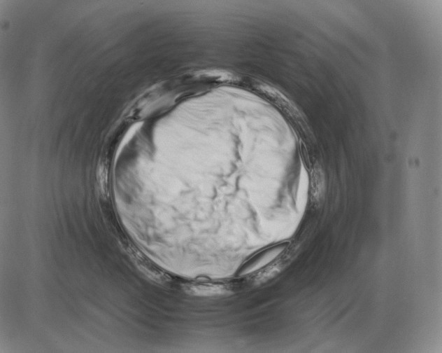 X0000082750669200702240040